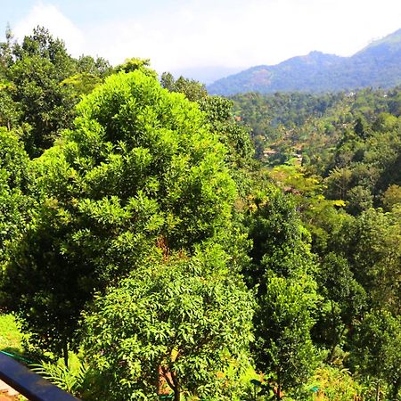 Green Magic Riverside Resort Munnar Bagian luar foto