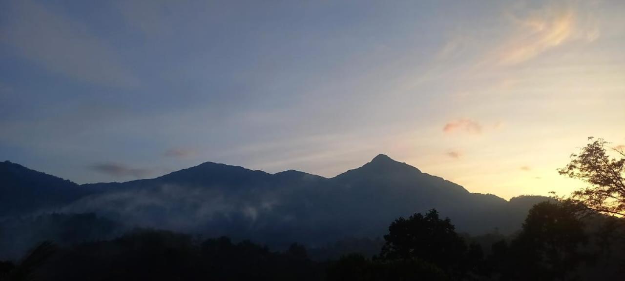 Green Magic Riverside Resort Munnar Bagian luar foto