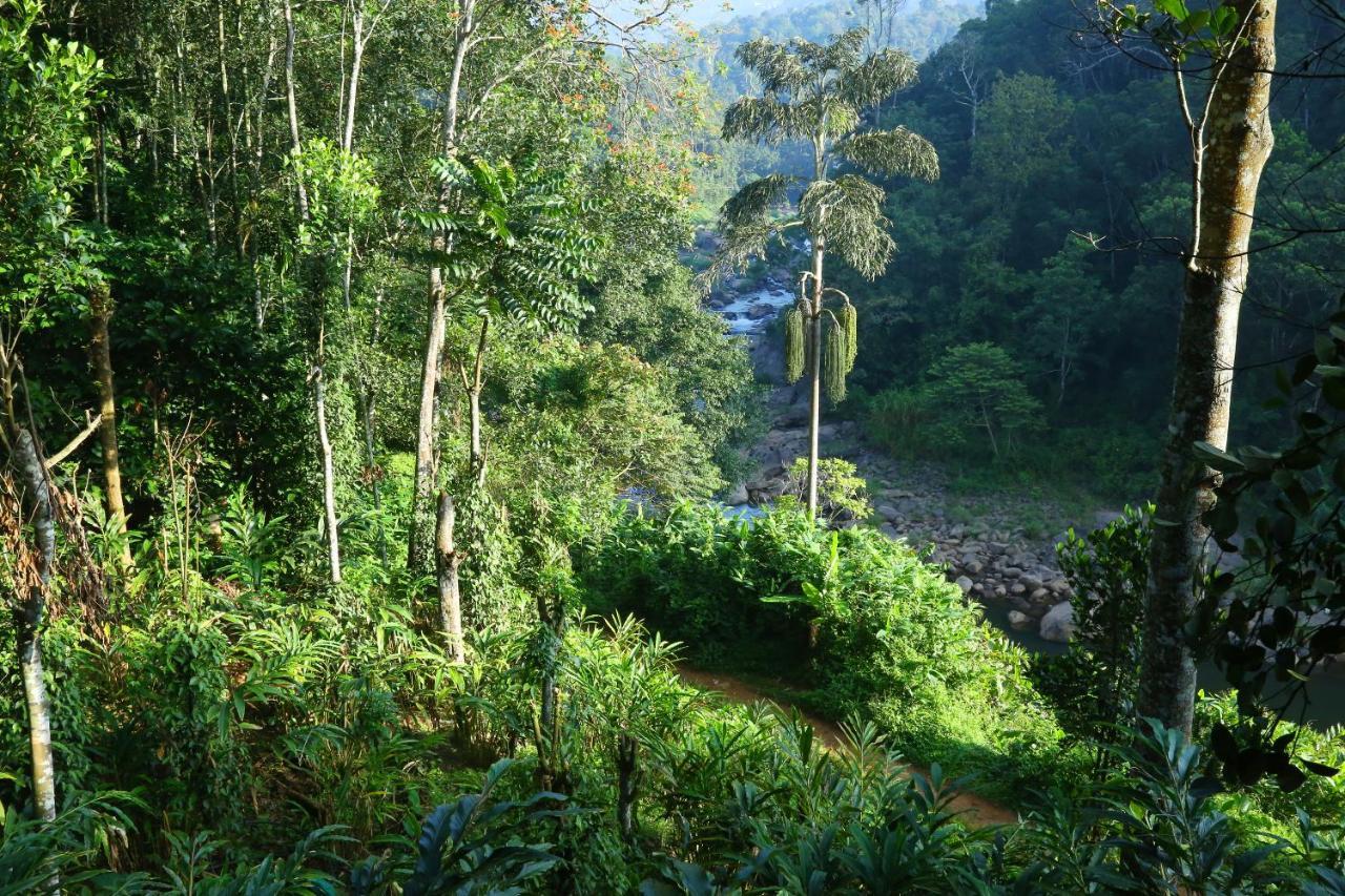 Green Magic Riverside Resort Munnar Bagian luar foto