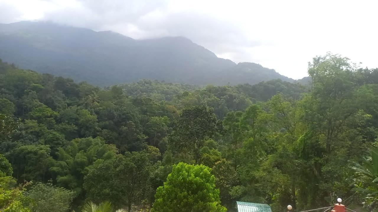 Green Magic Riverside Resort Munnar Bagian luar foto