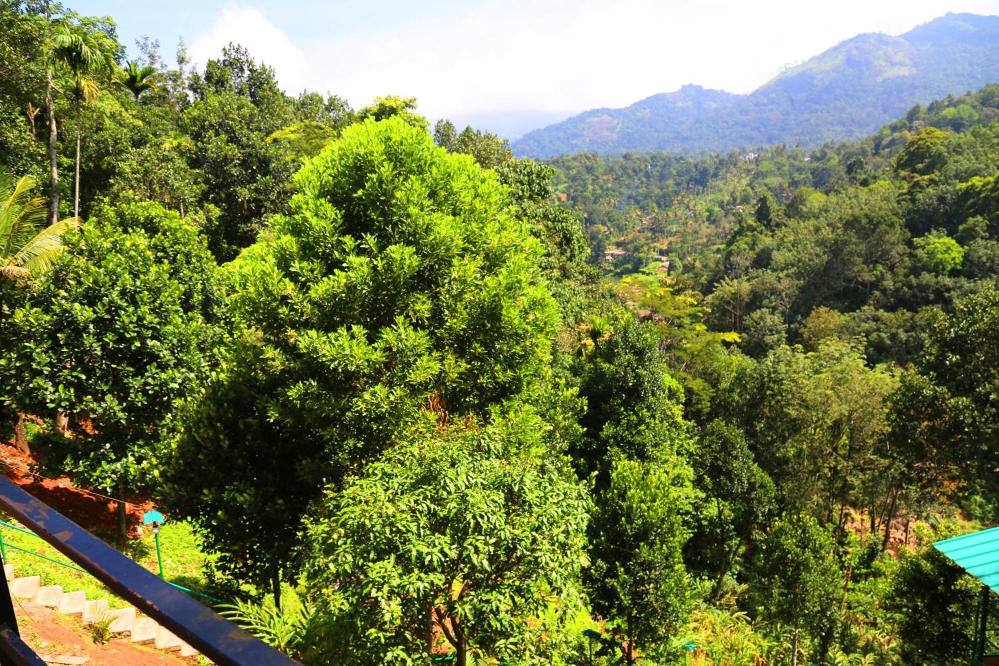 Green Magic Riverside Resort Munnar Bagian luar foto