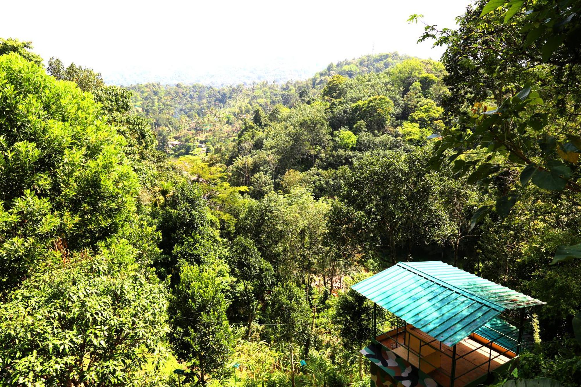 Green Magic Riverside Resort Munnar Bagian luar foto
